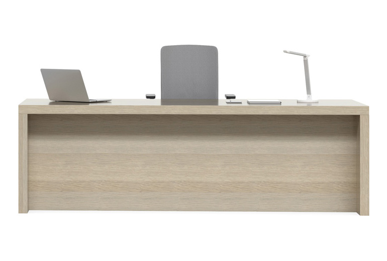 SWISS SPINE Executive Desk